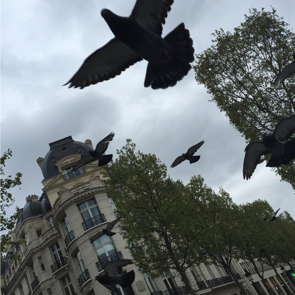 Meet your Posher, Heather - Picture 7 of 16